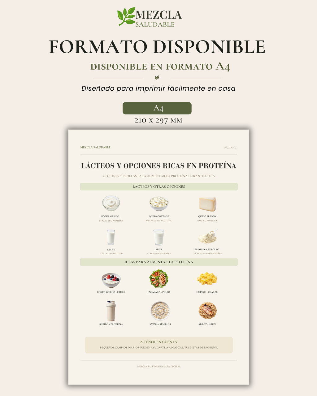 Guía de Alimentos Altos en Proteína | Fuentes de Proteína y Plato Saludable