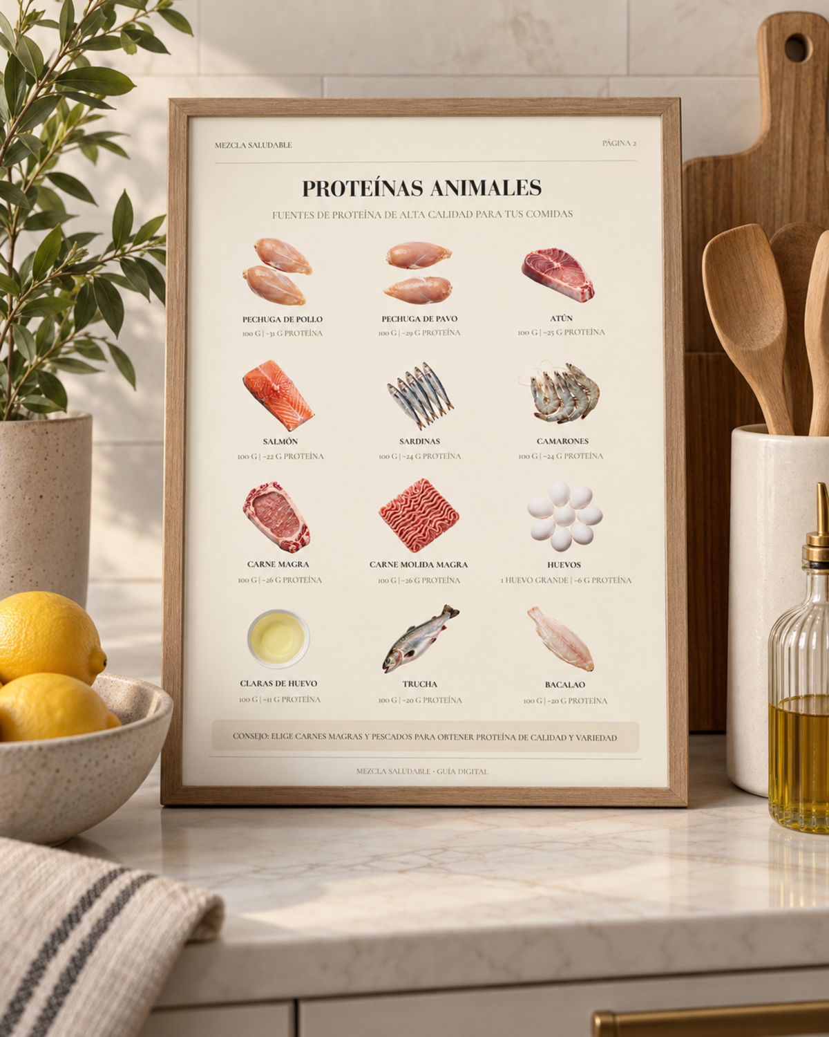 Guía de Alimentos Altos en Proteína | Fuentes de Proteína y Plato Saludable