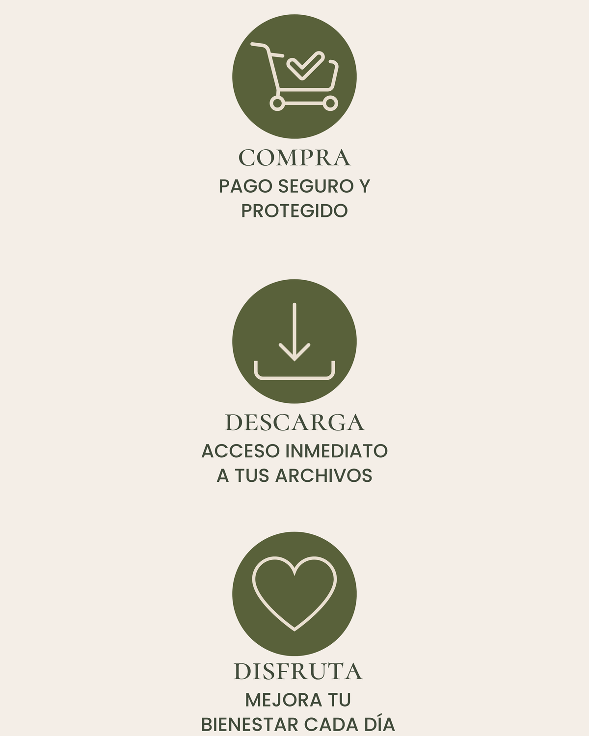 Guía de Alimentos Ricos en Fibra | Fuentes de Fibra y Plato Saludable