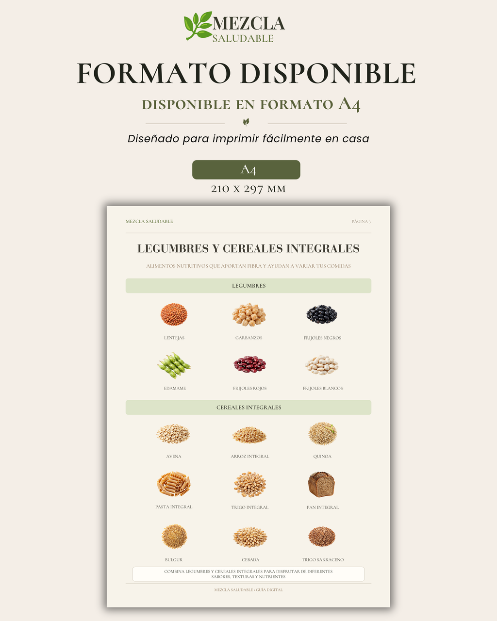 Guía de Alimentos Ricos en Fibra | Fuentes de Fibra y Plato Saludable