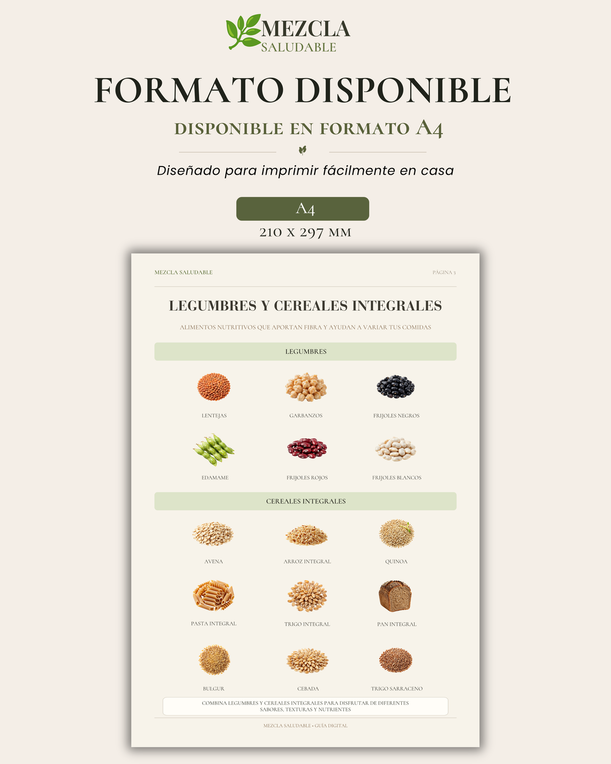 Guía de Alimentos Ricos en Fibra | Fuentes de Fibra y Plato Saludable