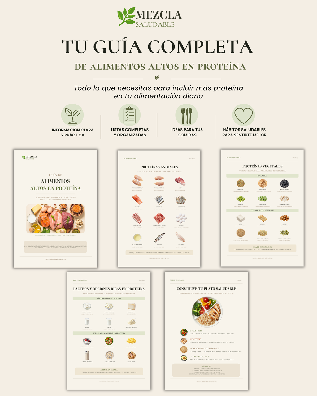 Guía de Alimentos Altos en Proteína | Fuentes de Proteína y Plato Saludable