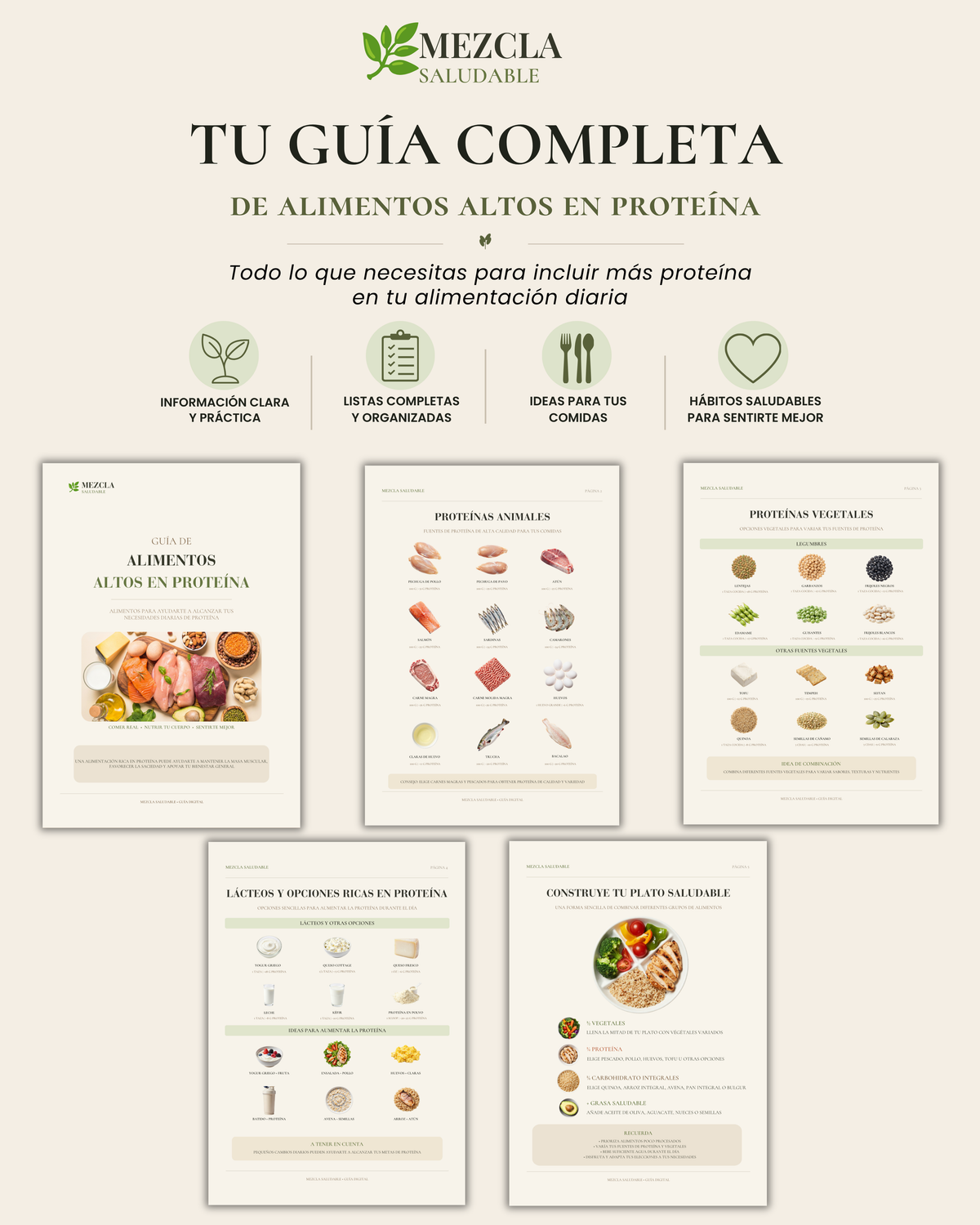 Guía de Alimentos Altos en Proteína | Fuentes de Proteína y Plato Saludable